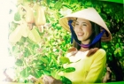 Lê Thị Vân Anh: Từ lượm ve chai trở thành doanh nhân trẻ bản lĩnh